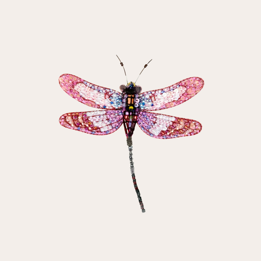 Broche Trovelore - libellule Roseate Skimmer rose