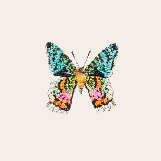 Broche Trovelore -  papillon coucher de soleil de Madagascar multicolore